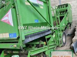 Wühlmaus 1733P