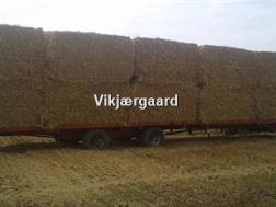 AP Bigballevogn 12.5 mtr. Bigballevogn 12,5 mtr