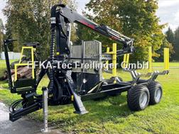 Palms 10,20D, FK 4.71