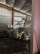 Perrein NIVELSEM 6 M. + ACCORD DF 2