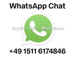 Pöttinger LION 3002 KREISELEGGE