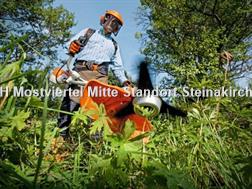  BENZIN MOTORSENSE FS 240