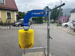 perrier Kuhbürste/Viehbürste