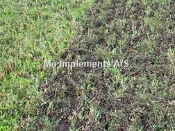 Düvelsdorf Green Rake Expert 6m UDSTILLINGSMODEL