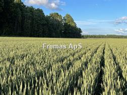 Claydon Hybrid T6 Med APV frøkasse