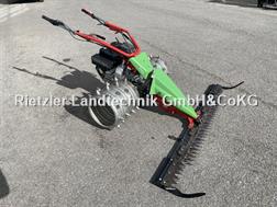 Rapid Swiss