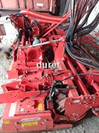 Maschio gabianno hd 