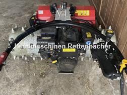 Aebi CC 36