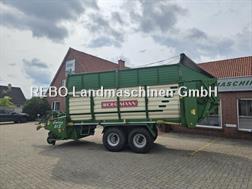 Bergmann Swing 21S