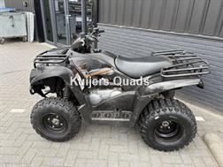 Kawasaki Brute Force KVF300