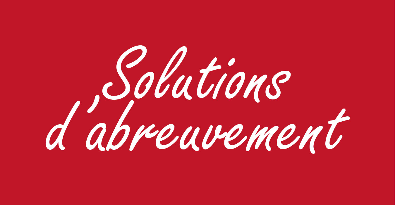 SPÉCIAL ÉLEVAGE : SOLUTIONS D'ABREUVEMENT